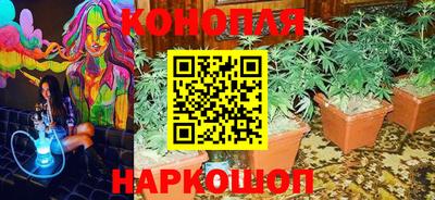 мяу мяу мука Кимры