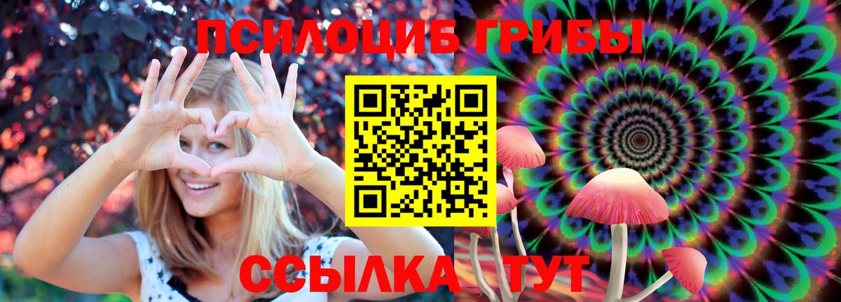 Галлюциногенные грибы мицелий  купить  сайты  Пугачёв  Псилоцибиновые грибы Psilocybine cubensis  Вход с VPN 