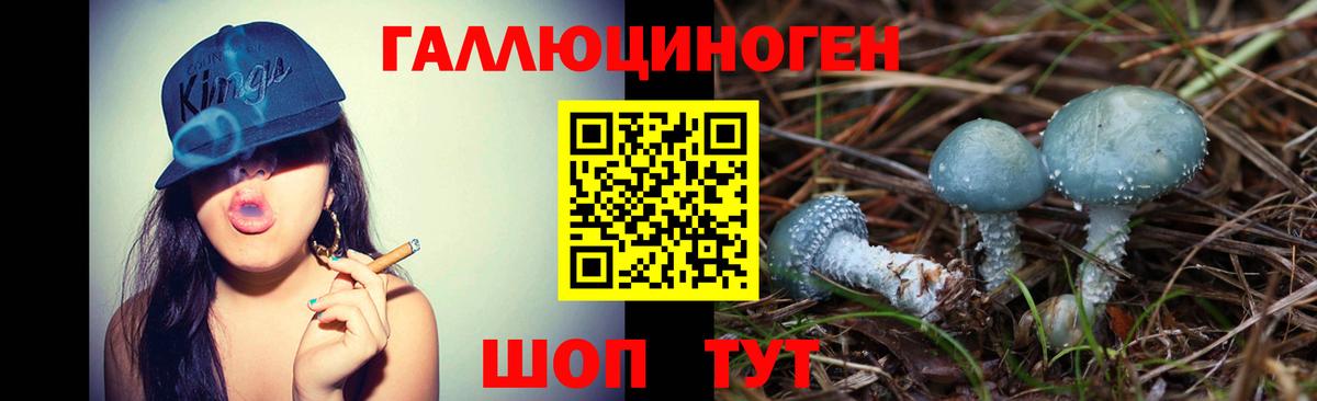 Псилоцибиновые грибы Cubensis Пугачёв